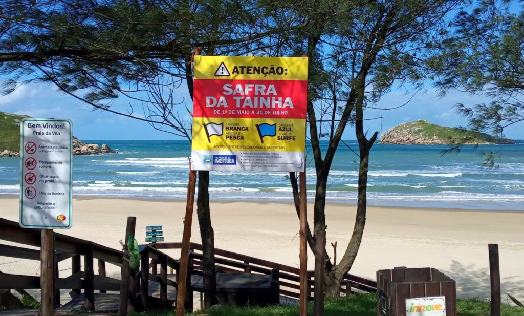 Safra da tainha: sistema de bandeiras indica os dias de pesca e de surfe em Imbituba